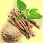 Herbs  Ashwagandha