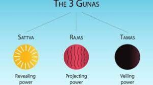 Ayurvedic three gunas 