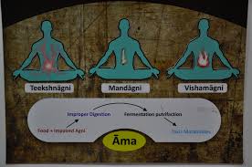 Stress and Digestion in Ayurveda
