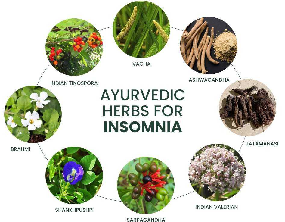 Ayurvedic Solution for Insomnia herbs image