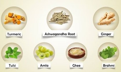 Ayurvedic Superfoods: Unlocking the Healing Power of Common Ingredients