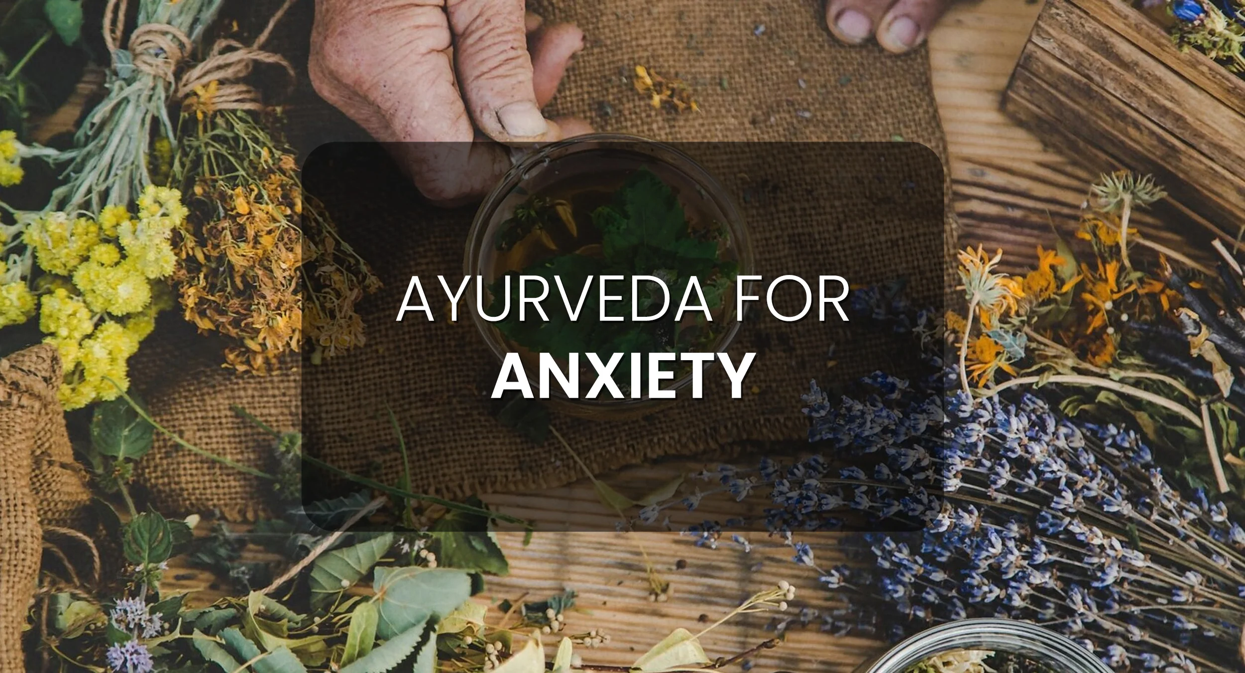 Ayurvedic Approach to Anxiety Management | image